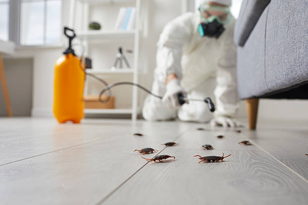 Commercial Kitchen Cockroach Control in Skokie
